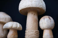 Champignons - mobillier urbain