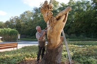 Sculpture d'un arbre sur pied - bois de chêne - Parc Terrabotanica